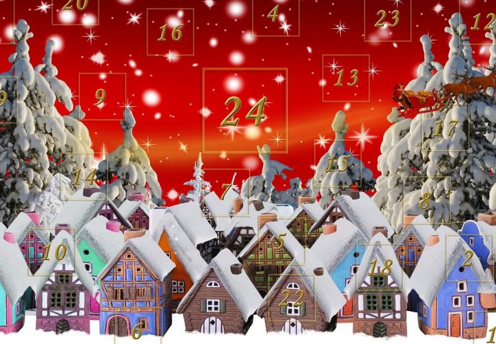 Naturwissenschaftlicher Adventskalender