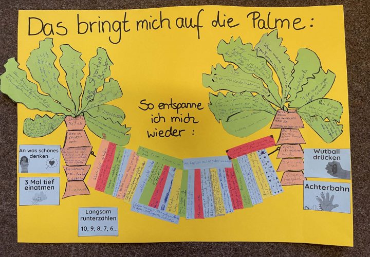 „Das bringt mich auf die Palme“