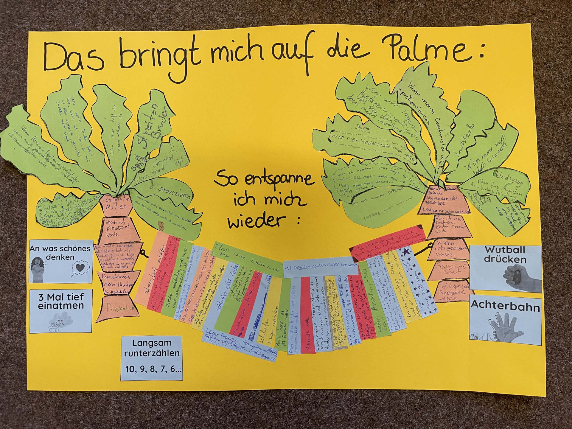 „Das bringt mich auf die Palme“