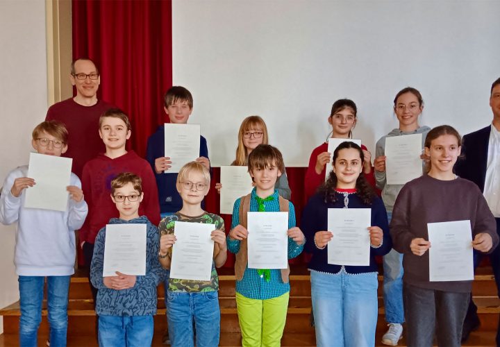 Forsche (Schnee)-Füchse präsentieren