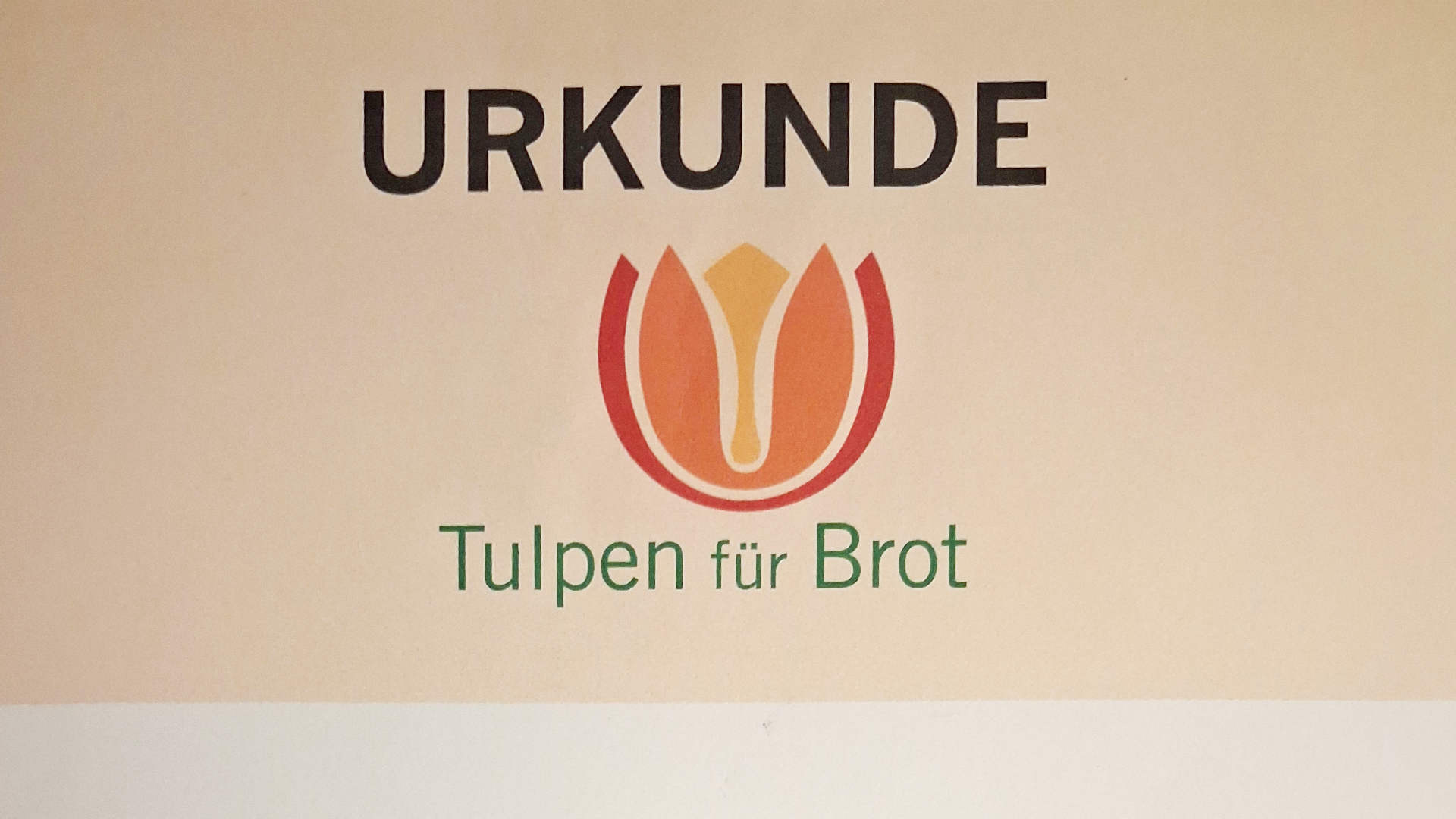 Tulpen für Brot